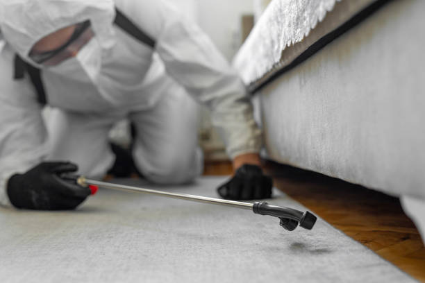 Professional Bed Bug Control technician working in Gananda, NY