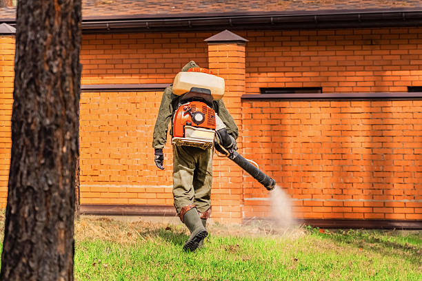 Trusted Cockroach Control service in Gananda, NY - Nex Pest Control